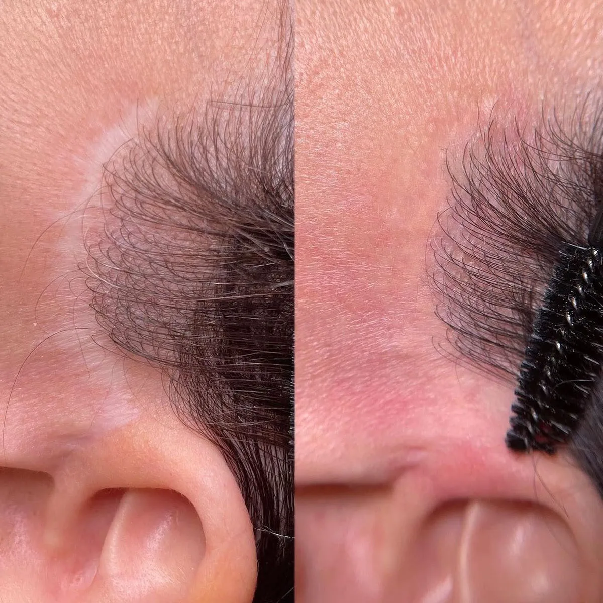Eyebrow Grooming Before and After